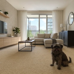 Metrážový koberec Story 9102