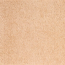 Metrážový koberec Dynasty 70