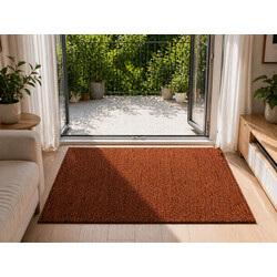 Pratelný běhoun Laos 218X