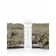 Kusový koberec Ted Baker Lambeth 106368 Zelená kruh