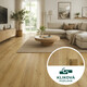 Vinylová podlaha kliková Canadian Design Montréal