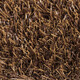 Umělá tráva PartyGrass Brown