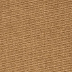 Čistící zóna Vigor 0226 beige