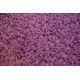 Metrážový koberec Color Shaggy fialový