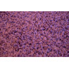 Metrážový koberec Color Shaggy fialový