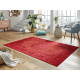 Kusový koberec Mint Rugs 103512 Willow red