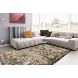 Kusový koberec Picasso K11600-02 Sarough