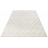 Kusový koberec Euphoria 103620 Light Grey z kolekce Elle