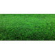 Travní koberec Green 20 metrážní