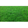 Travní koberec Green 20 metrážní