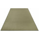 Kusový koberec Bare 103816 Green
