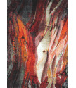 Kusový koberec Rust red 21304-910