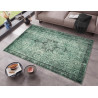 Kusový orientální koberec Chenille Rugs Q3 104756 Green