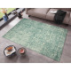 Kusový orientální koberec Chenille Rugs Q3 104777 Green