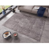 Kusový orientální koberec Chenille Rugs Q3 104699 Brown-Grey