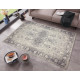 Kusový orientální koberec Chenille Rugs Q3 104801 Grey