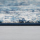 Kusový koberec Cocktail Wonderlust Dark-blue