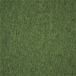 Kobercový štvorec Coral 58376-50 zelený 50 x 50 cm