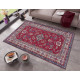 Kusový koberec Asmar 104903 Red, Multicolored