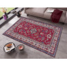 Kusový koberec Asmar 104903 Red, Multicolored