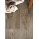 PVC podlaha - lino Quatrotex Oslo 584