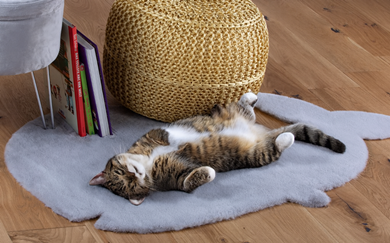 Kusový koberec Luna pro zvířata