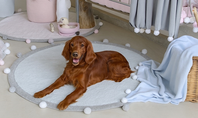 Koberce pro domácí mazlíčky