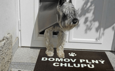 Rohožka Domov plný chlupů