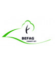 BEFAG Parkett KFT - logo