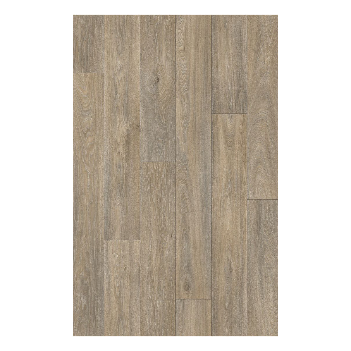 PVC podlaha Ambient Havanna Oak 613M - dub