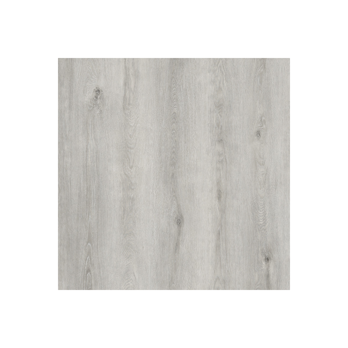Vinylová podlaha lepená Aura 809 Spring Oak Light Grey