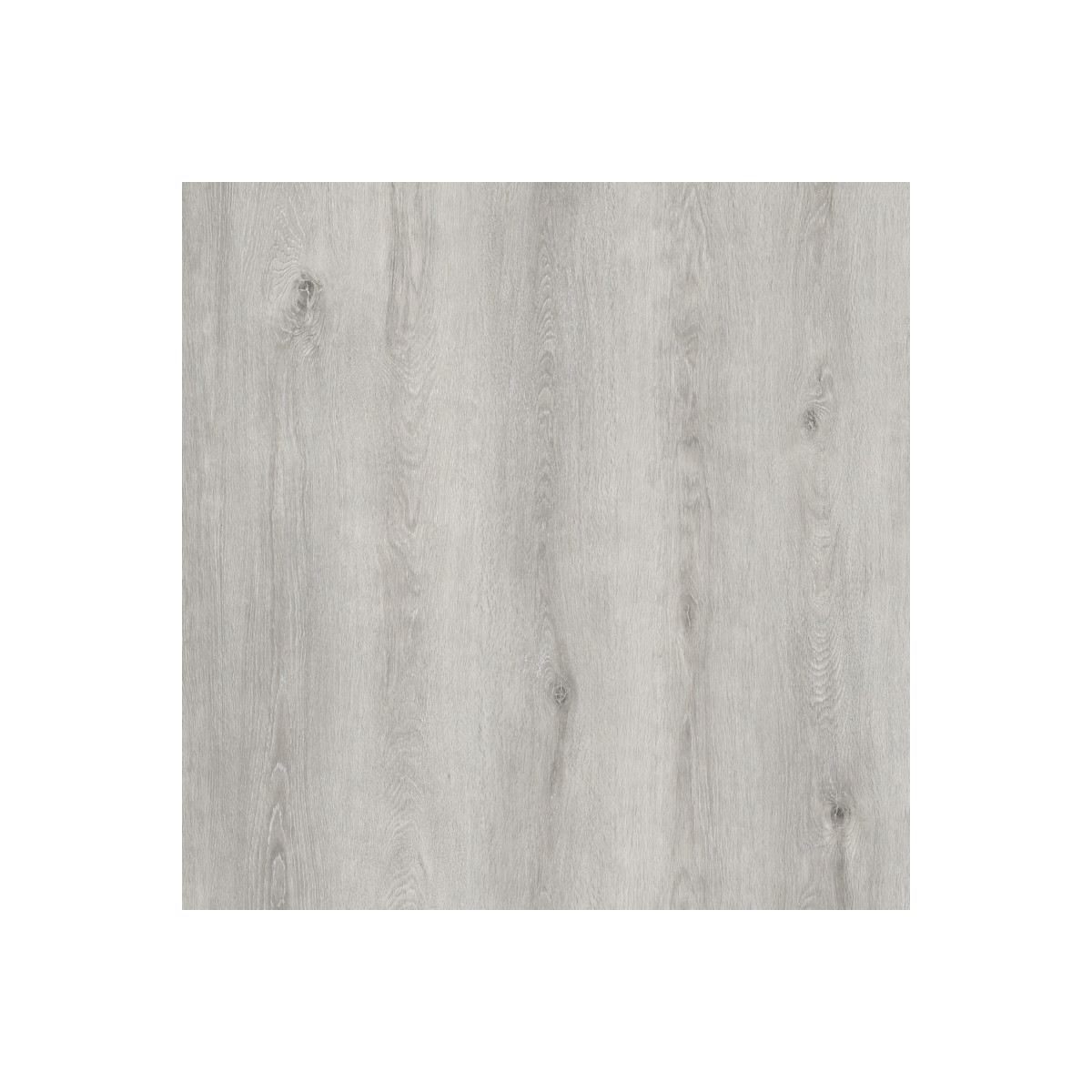 Vinylová podlaha lepená Aura 809 Spring Oak Light Grey  - dub