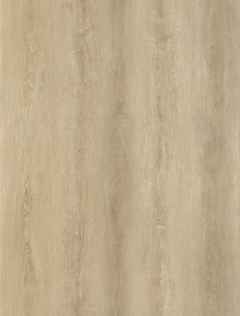 Levně Oneflor Vinylová podlaha lepená ECO 30 074 Sawcut Oak Natural - dub - Lepená podlaha