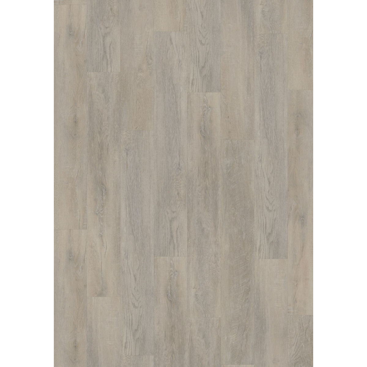 Vinylová podlaha lepená ECO 55 055 Old Oak Light Breige  - dub