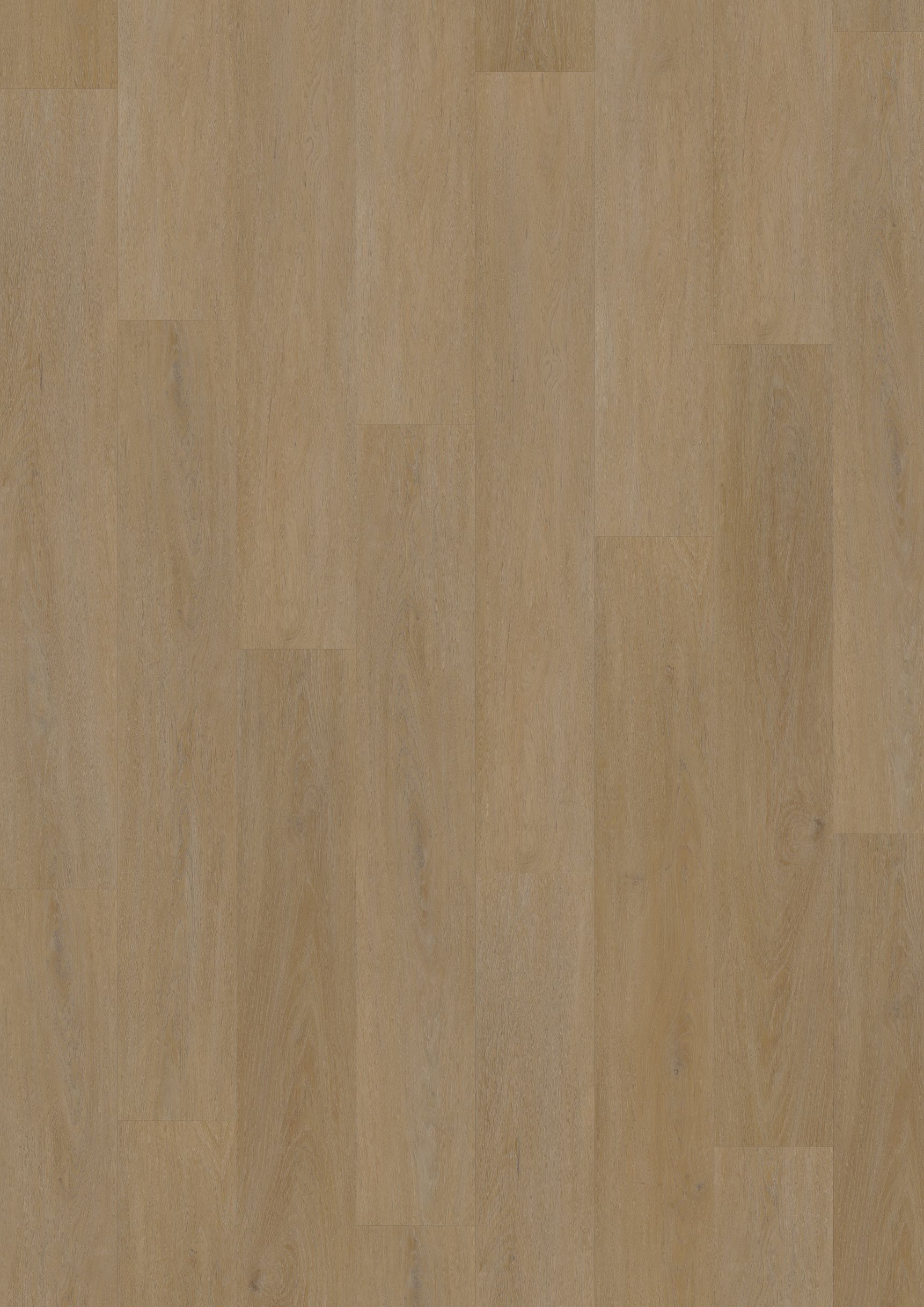 Levně Oneflor Vinylová podlaha lepená ECO 55 064 English Oak Honey - dub - Lepená podlaha