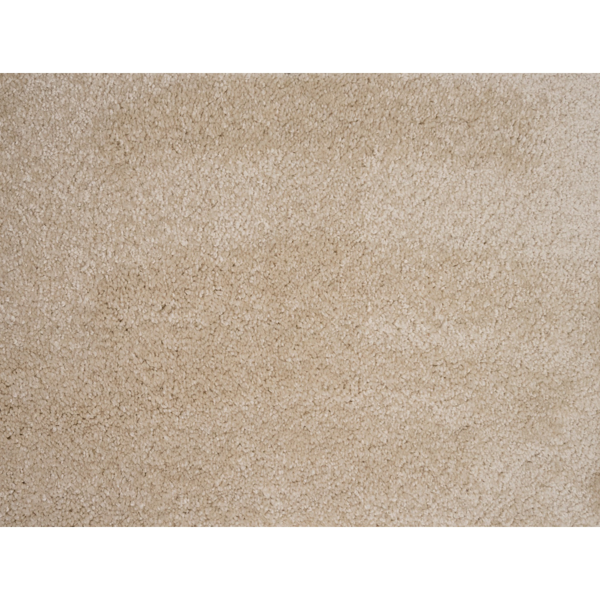 AKCE: 95x545 cm Metrážový koberec Gloria 04