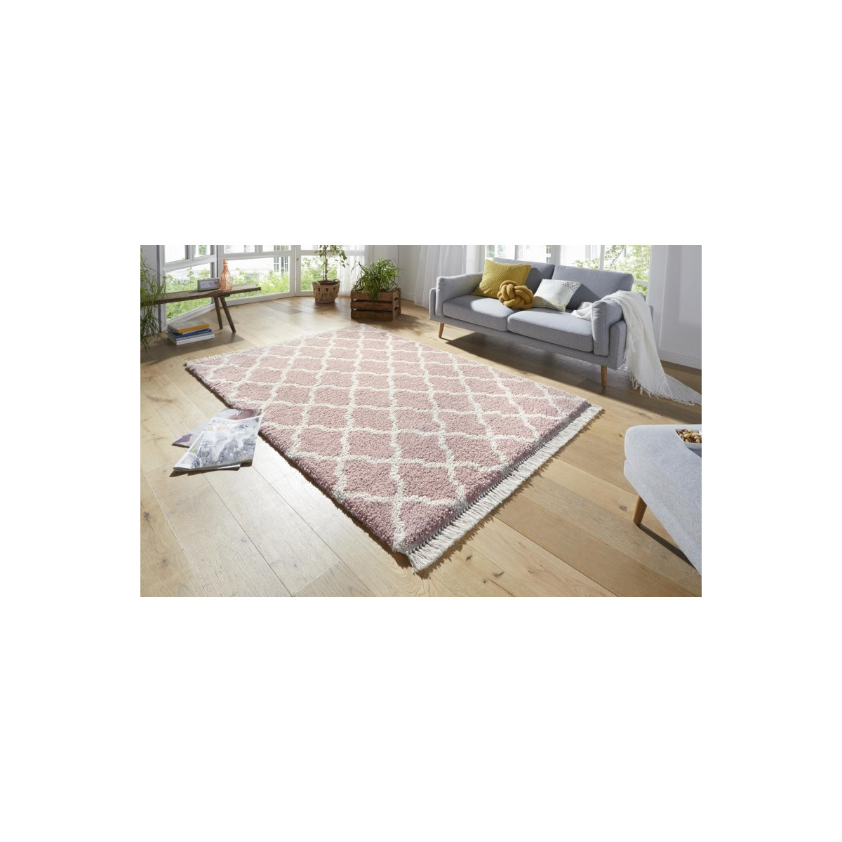AKCE: 120x170 cm Kusový koberec Desiré 103327 Rosa Creme