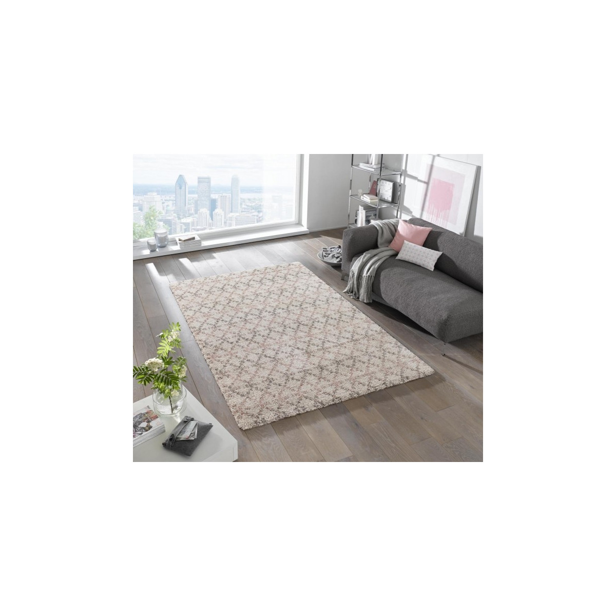 AKCE: 80x150 cm Kusový koberec Grace 102597