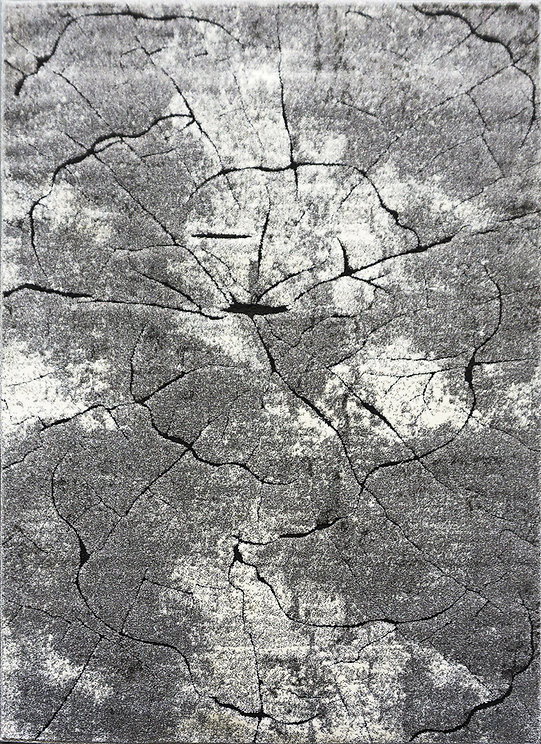 Levně Berfin Dywany Kusový koberec Miami 129 Grey - 280x370 cm