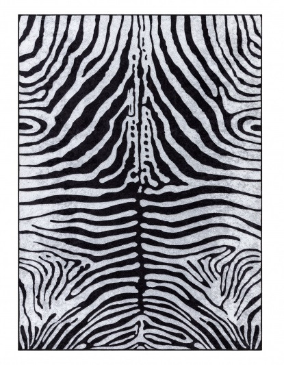 Levně Dywany Łuszczów Kusový koberec Miro 51331.803 Zebra black / white - 120x170 cm