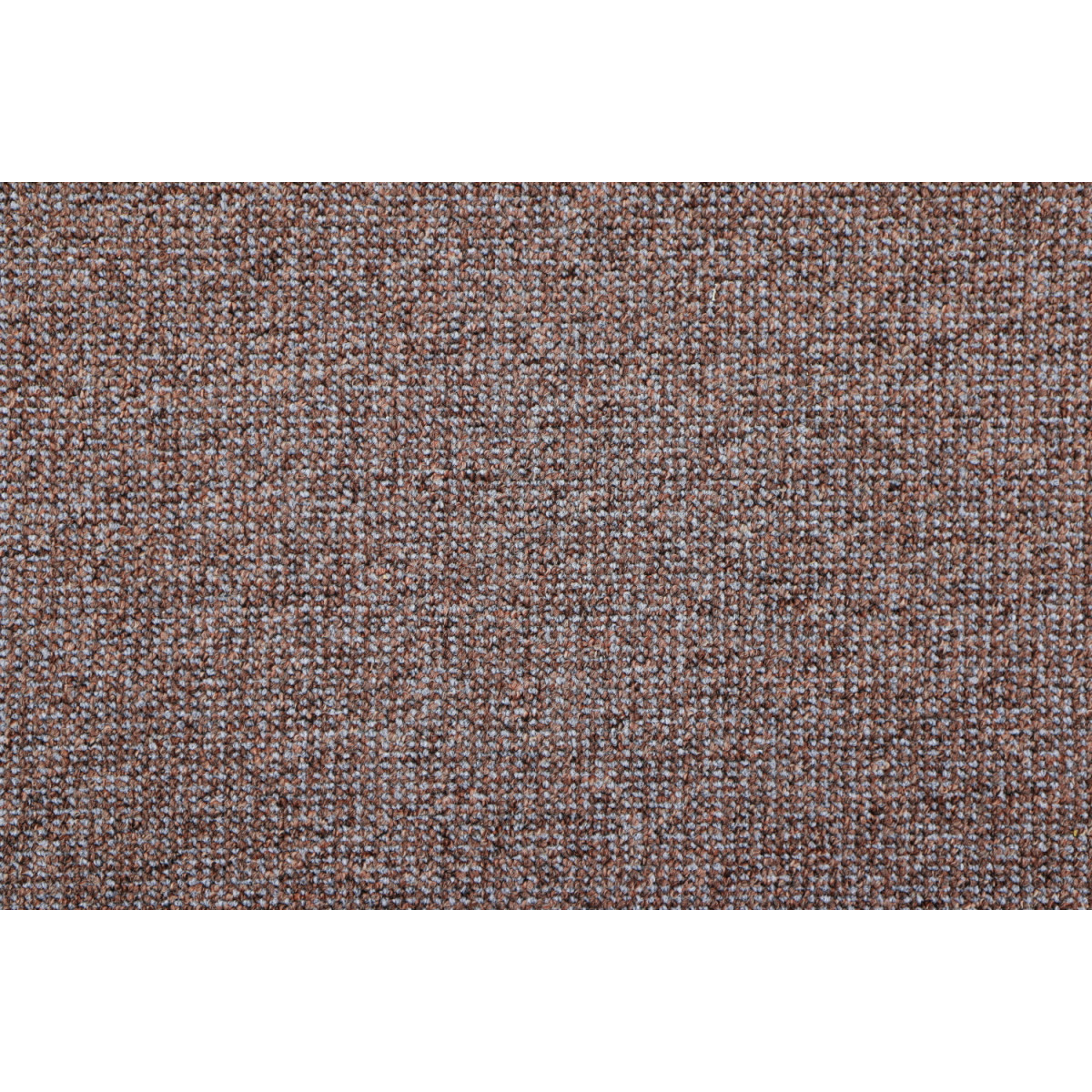 AKCE: 89x420 cm Metrážový koberec Lion 16 - neúčtujeme odřezky z role!
