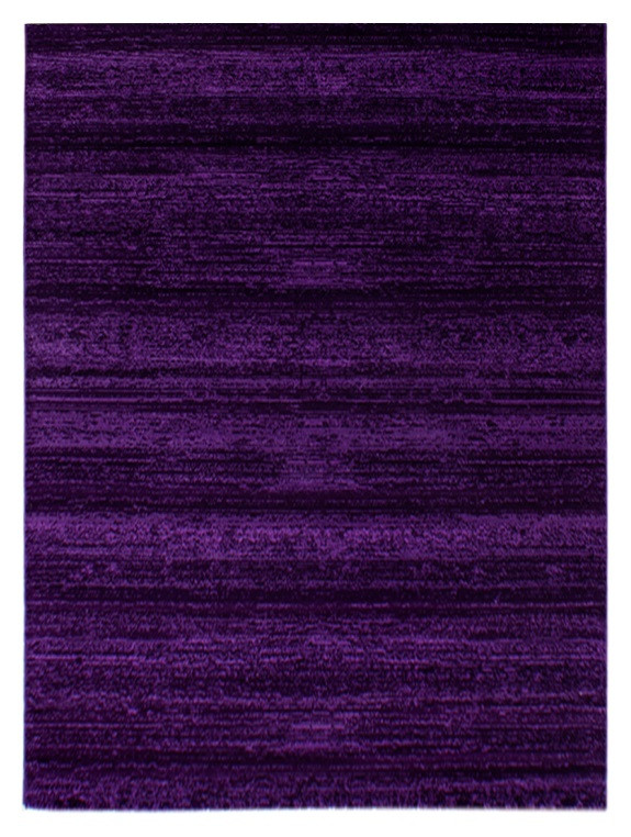 Levně Ayyildiz koberce AKCE: 120x170 cm Kusový koberec Plus 8000 lila - 120x170 cm