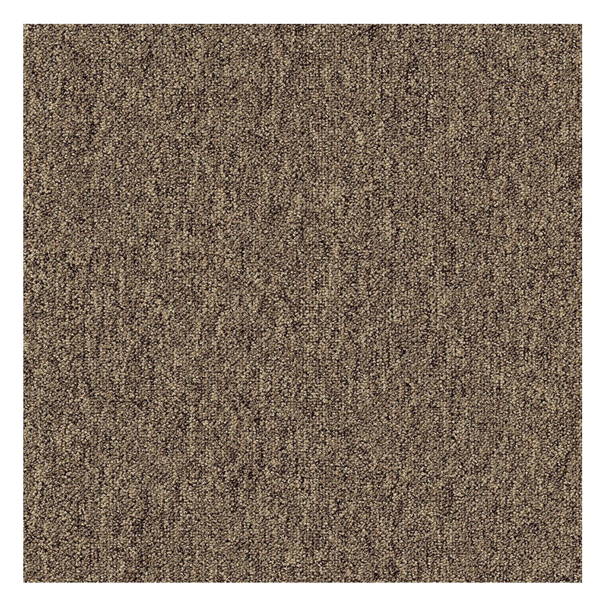 Levně Tapibel, Kobercový čtverec Coral 58309 Bitumen hnědý 50 x 50 cm, chodba / předsíň