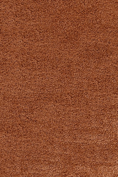Levně Ayyildiz koberce Kusový koberec Life Shaggy 1500 terra - 100x200 cm