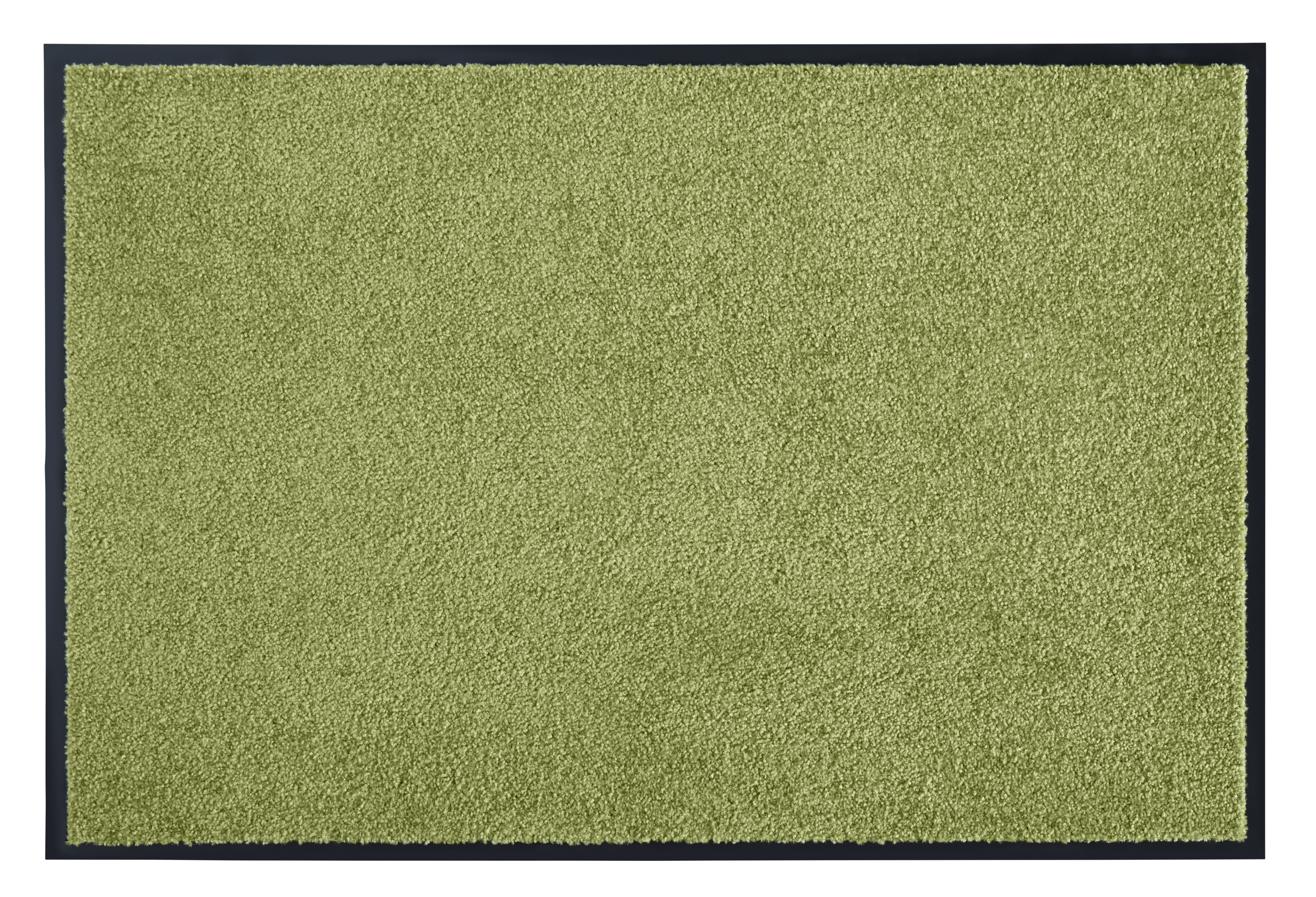 Levně Hanse Home Collection koberce Rohožka Wash & Clean 101470 Green - 120x180 cm