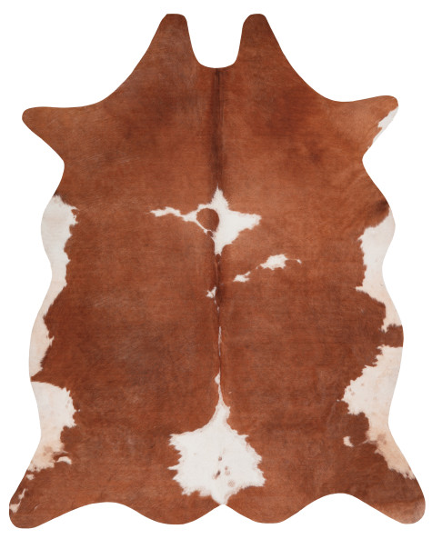 Levně Obsession koberce Kusový koberec Toledo 195 brown - 155x190 tvar kožešiny cm