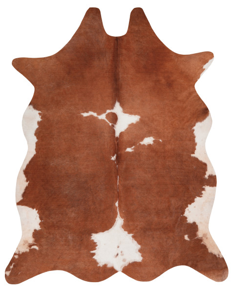 Kusový koberec Toledo 195 brown