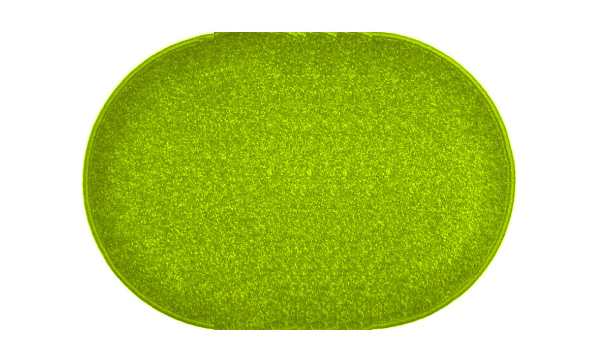 Levně Vopi koberce Kusový koberec Eton zelený ovál - 120x185 cm