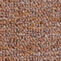 Praktický koberec rambo hnědá